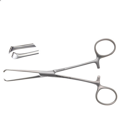 Pedifine Allis Tissue Forceps
