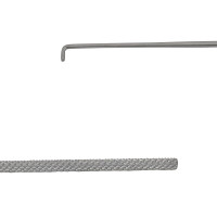 Day Ear Hook