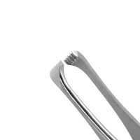 Beasley Babcock Tissue Forceps 5x5 Teeth 4 3/4"