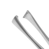 Lockwood Allis Tissue Forceps 4x5 Teeth 6 1/4"