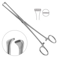 Thoms Allis Tissue Forceps 6X7 Teeth 8"