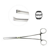 Allis Tissue Forceps 5x6 Teeth 7 1/2"