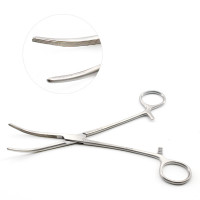 Rochester Carmalt Forceps 8" Curved