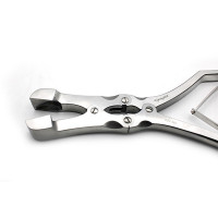 Sauerbruch Rongeur 12" Square 20mm Double Action