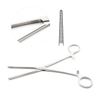 Rankin Kelly Forceps 6 1/4"